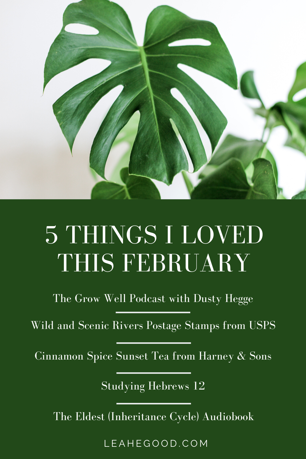 5 Things I Loved This February_Pin
